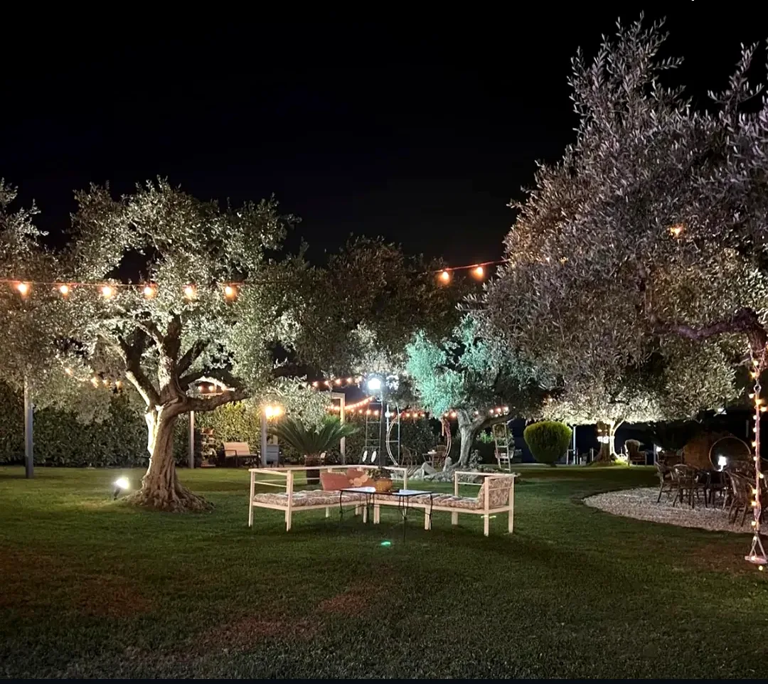 Il giardino di ulivi di Oltre il Giardino illuminato dalle luci la sera